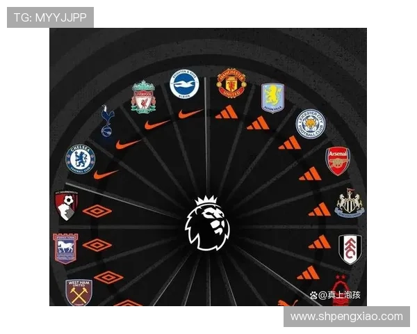 本赛季新加入英超联赛的几支球队情况总览