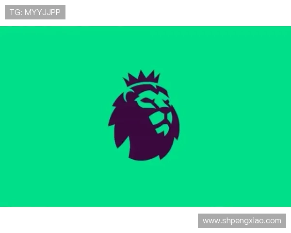 英超球队主场常放的经典进场音乐与背景介绍 英超球队主场常放的经典进场音乐与背景介绍