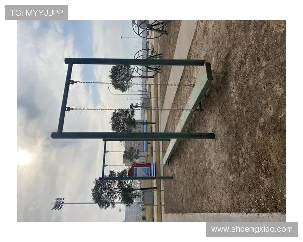 高强度部队体能训练器材选购指南与实战测评 高强度部队体能训练器材选购指南与实战测评