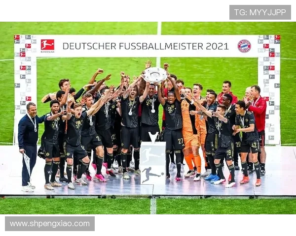 2021年德甲球队阵容高清图片合集